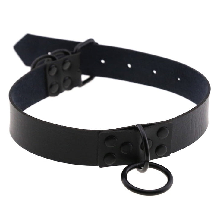 The Bumper Choker & Leash